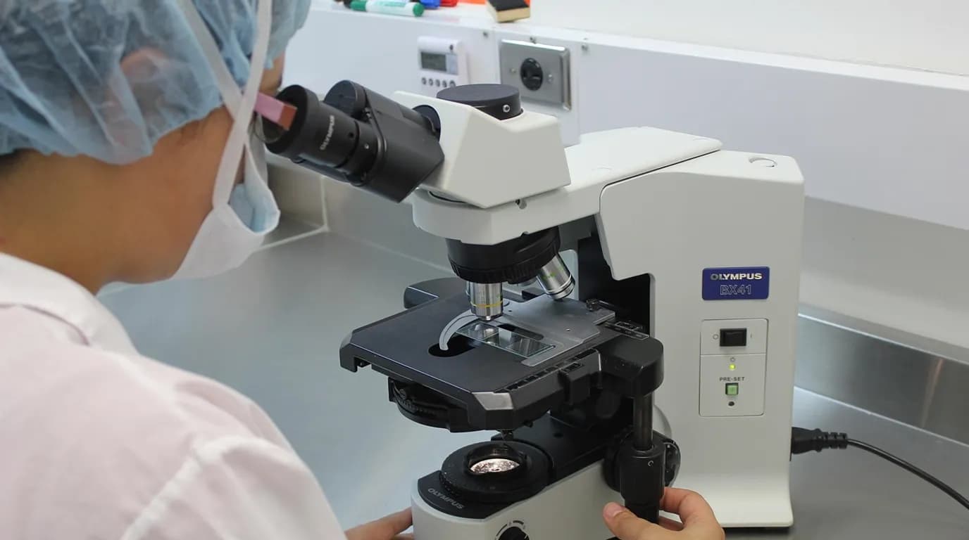 Fertility & IVF Clinics: staff at work in the business, where Reflys automates customer conversations