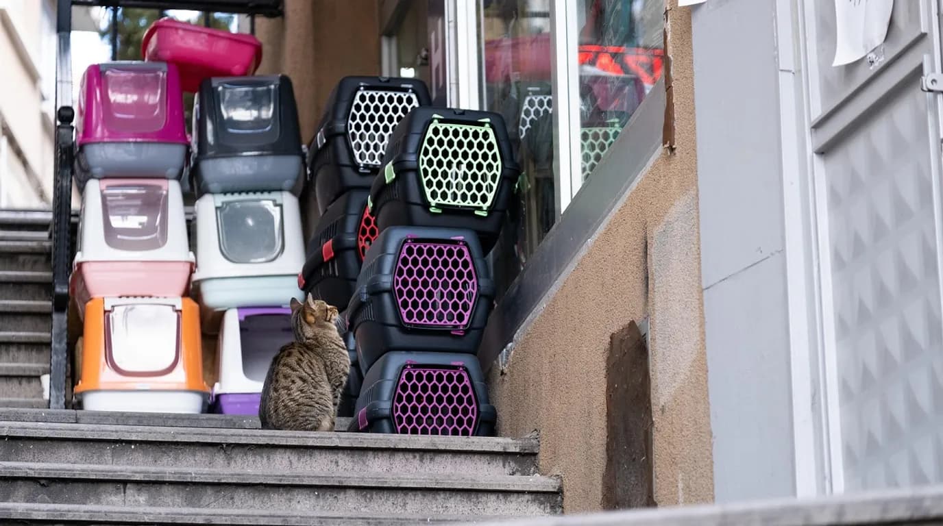 Pet Supplies & Pet Product Retailers: staff at work in the business, where Reflys automates customer conversations